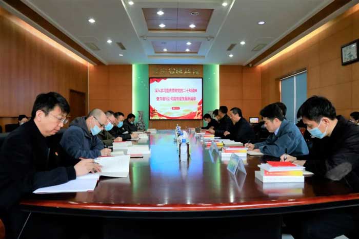深入學習宣傳貫徹黨的二十大精神奮力譜寫公司高質量發展新篇章(圖2) 深入學習宣傳貫徹黨的二十大精神奮力譜寫公司高質量發展新篇章(圖2)
